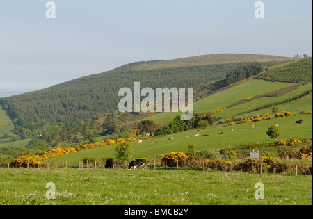 Irische Landschaft & Ackerland in den Wicklow Mountains in der Nähe von Südirland Greystones County Wicklow Stockfoto