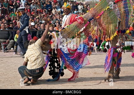 Kamel-Ausstellung. Bikaner Wüste Festival. Rajasthan. Indien Stockfoto