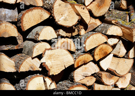 Konzept-Bild von Holz als erneuerbare Energiequelle. Stockfoto