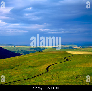 Straße durch hügelige Landschaft, Cezallier, Puy de Dome, Auvergne, Frankreich Straße durch hügelige Landschaft, Cezallier, Puy de Dome, Auvergne, Frankreich