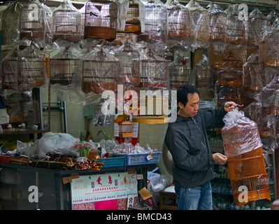 Yuen Po Street Bird Garden, Mong Kok, Hong Kong, SAR China Stockfoto