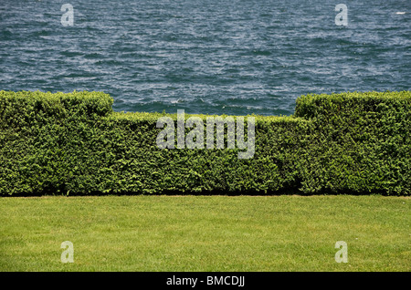 abgeschnitten, Garten Hecke, Lago Maggiore, Italien Stockfoto