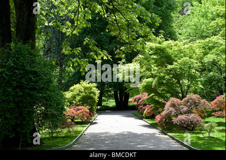 Villa Taranto, Lago Maggiore, Italien Stockfoto