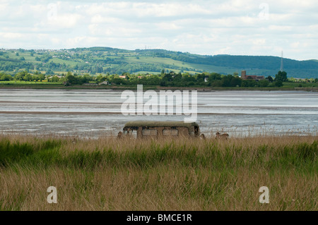 Mittleren Hide an Slimbridge WWT am Ufer des Flusses Severn, Gloucestershire Stockfoto