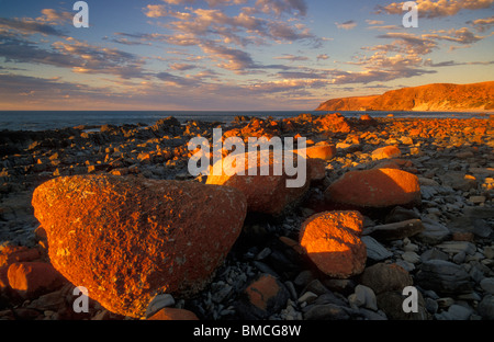 Rost Flechten bedeckt Felsbrocken am Morgan Strand bei Sonnenuntergang in der Nähe Cape Jervis South Australia Stockfoto