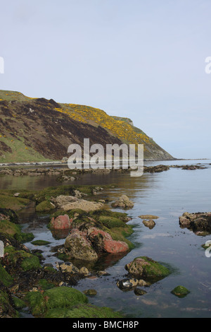 Gamrie-Bucht in der Nähe von Gardenstown Schottland Mai 2010 Stockfoto