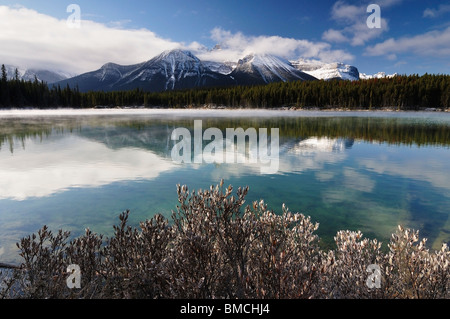 Herbert See und Bogen Reichweite, Banff Nationalpark, Alberta, Kanada Stockfoto