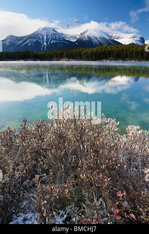 Herbert See und Bogen Reichweite, Banff Nationalpark, Alberta, Kanada Stockfoto