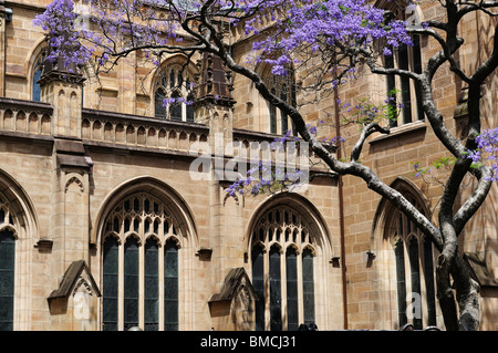 St Andrews Kathedrale, Sydney, New South Wales, Australien Stockfoto