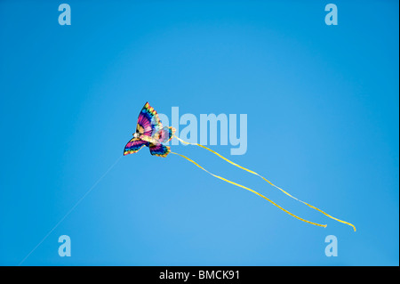 Schmetterling-Kite Stockfoto