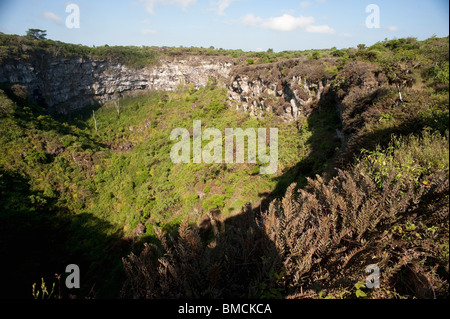 Santa Cruz Island, Galapagos-Inseln, Ecuador Stockfoto