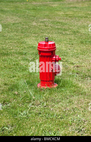 Hydranten auf grünen Rasen Stockfoto