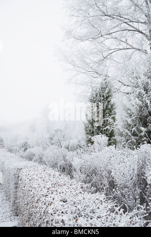 Winterlandschaft Stockfoto