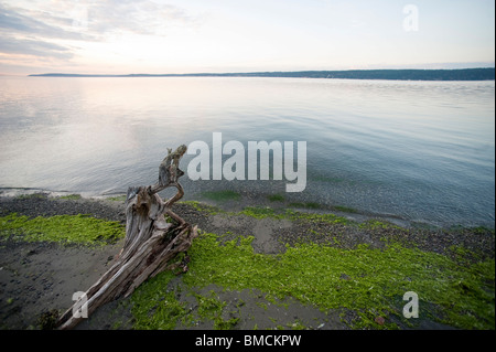 Whidbey Island, Island County, Washington, USA Stockfoto