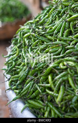 Indische grüne Chilis am Markt in Bangalore, Karnataka, Indien Stockfoto