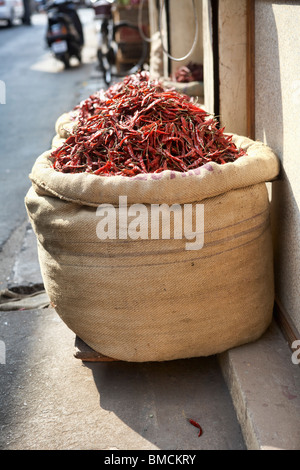 Leinensack von getrockneten Hot Chili Peppers bei eines Großhändlers Shop, Kochi, Kerala, Indien Stockfoto