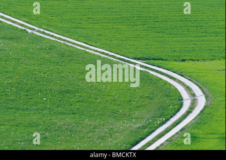 Track, Field, Kanton Bern, Schweiz Stockfoto