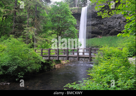 Silver Creek, Süden fällt, Silver Falls State Park, Marion County, Oregon, USA Stockfoto