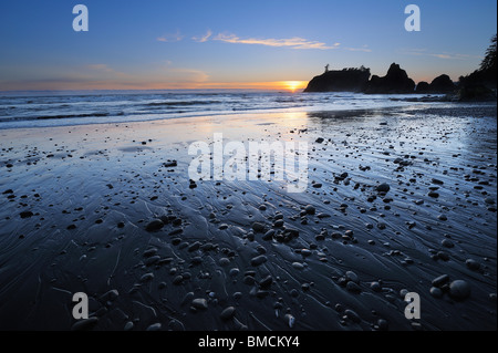 Meer-Stack, Ruby Beach, Olympic Nationalpark, Washington State, USA Stockfoto