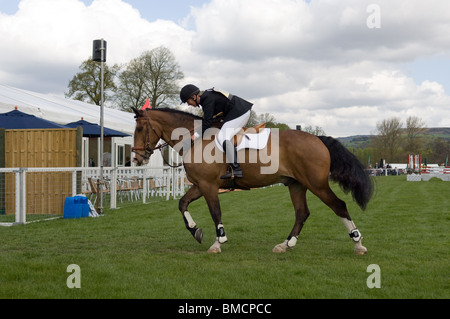 Jockey tätschelte Pferd bei Chatsworth International Horse Trials 2010 in das Springreiten Stockfoto