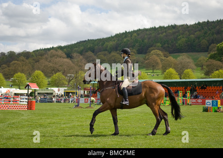 Pferd & Jockey, die Teilnahme an der Show Jumping-Bühne im Chatsworth International Horse Trials 2010 Stockfoto