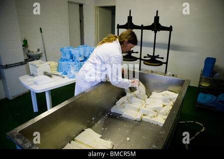 Käse-Maker Jennie Ireland traditionellen Single und Double Gloucester Käse machen. Standish Park Farm. Oxlynch. Gloucestershire. Vereinigtes Königreich. Stockfoto