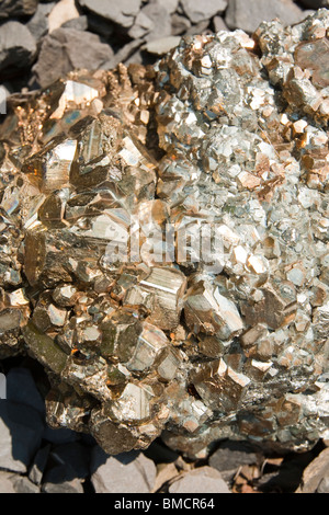 Eisen-Pyrit oder Fools Gold in den Garten von Brantwood Haus, Coniston, Lake District, Großbritannien. Stockfoto