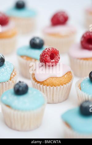 Bunte Heidelbeere und Himbeere Mini Frucht Muffins auf einem weißen Hintergrund Stockfoto