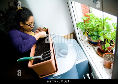 junge Dame Pflanzen Samen in einer Fenster-Box. Erdbeerpflanzen auf dem Fenstersims. Vorort von London. Stockfoto