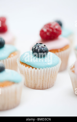 Bunte Heidelbeere und Himbeere Mini Frucht Muffins auf einem weißen Hintergrund Stockfoto