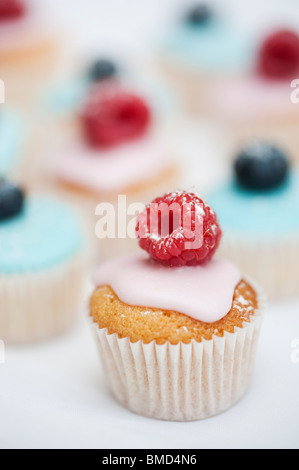 Bunte Heidelbeere und Himbeere Mini Frucht Muffins auf einem weißen Hintergrund Stockfoto