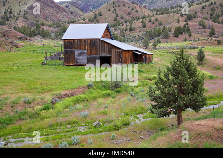 Eine alte hölzerne Scheune auf eine große Rinderfarm entlang des John Day River in Mittel-/Osteuropa Oregon Stockfoto