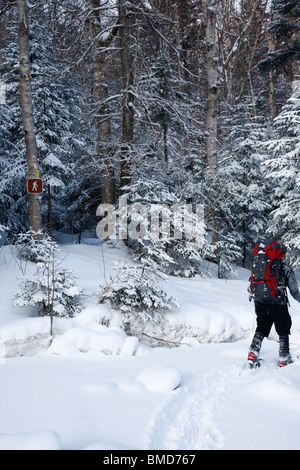 Schneeschuhwanderer, die Überquerung des Schnees bedeckt Little River entlang North Twin Trail in den Wintermonaten in den White Mountains, NH Stockfoto