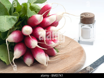 Ein Bündel von frischen französischen Frühstück Rettich auf A hacken Holzbrett, mit A Salz Topf und Messer, auf A weißer Hintergrund