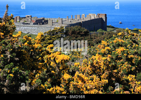 Alderney, Kanalinseln, Großbritannien Stockfoto