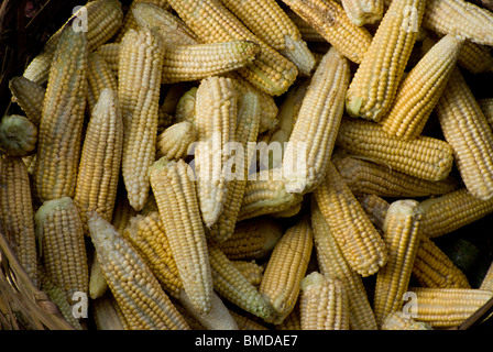 Am öffentlichen Markt Ubud in Ubud, Bali, kommen Frauen sehr früh am Morgen für Obst, Fleisch und Gemüse einkaufen gehen. Stockfoto