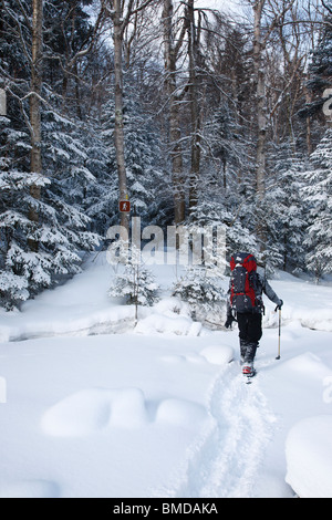 Schneeschuhwanderer, die Überquerung des Schnees bedeckt Little River entlang North Twin Trail in den Wintermonaten in den White Mountains, NH Stockfoto