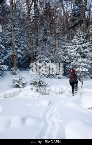 Schneeschuhwanderer, die Überquerung des Schnees bedeckt Little River entlang North Twin Trail in den Wintermonaten in den White Mountains, NH Stockfoto