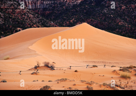 Coral Pink Sand Dunes State Park in der Nähe von Kanab, Utah. Stockfoto