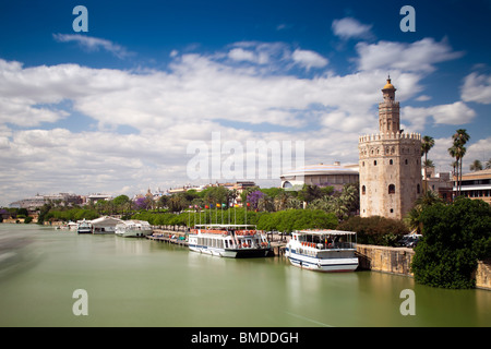 Torre del Oro und Guadalquivir Fluss, Sevilla, Spanien Stockfoto