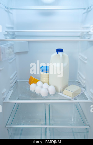 Kühlschrank mit Milchprodukten und Eiern Stockfoto