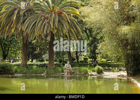 Palme und Teich im Park Jardim Guerra Junqueiro oder Jardim da Estrela in Lissabon, Portugal, Europa Stockfoto