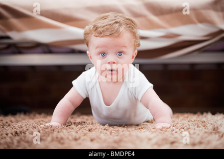 Ein 6 Monate altes Baby Boy auf Händen und Knien auf einem Teppich im Wohnzimmer verlegen Stockfoto