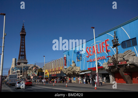 Sealife und Blackpool Tower an der Strandpromenade promenade Blackpool Lancashire England uk Stockfoto