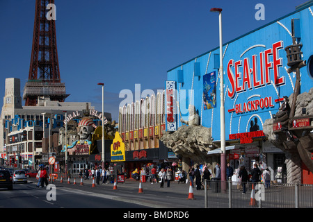 Sealife und Blackpool Tower an der Strandpromenade promenade Blackpool Lancashire England uk Stockfoto