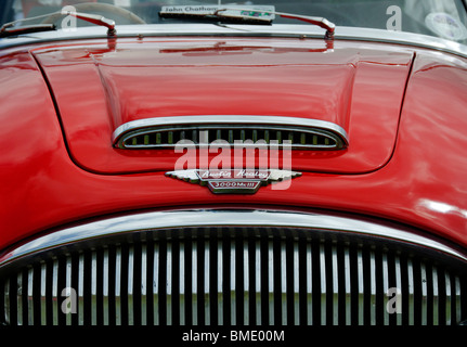 Austin Healey 3000 mk3 Motorhaube & grill Stockfoto