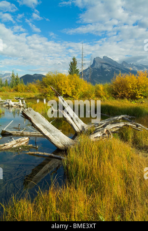 Mount Rundle in der Nähe von Banff spiegelt sich in Vermillion Seen mit umgestürzten Bäumen Banff Nationalpark Alberta Kanada Nordamerika Stockfoto