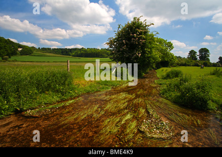 Hambleden Brook, ein Kreide-Strom fließt durch Hambleden in der Chilterns Mühle Ende, Buckinghamshire, Vereinigtes Königreich. Stockfoto