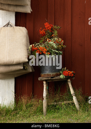 Blumen im Topf auf Hocker Stockfoto