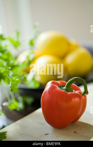 Eine rote Paprika, Schweden. Stockfoto